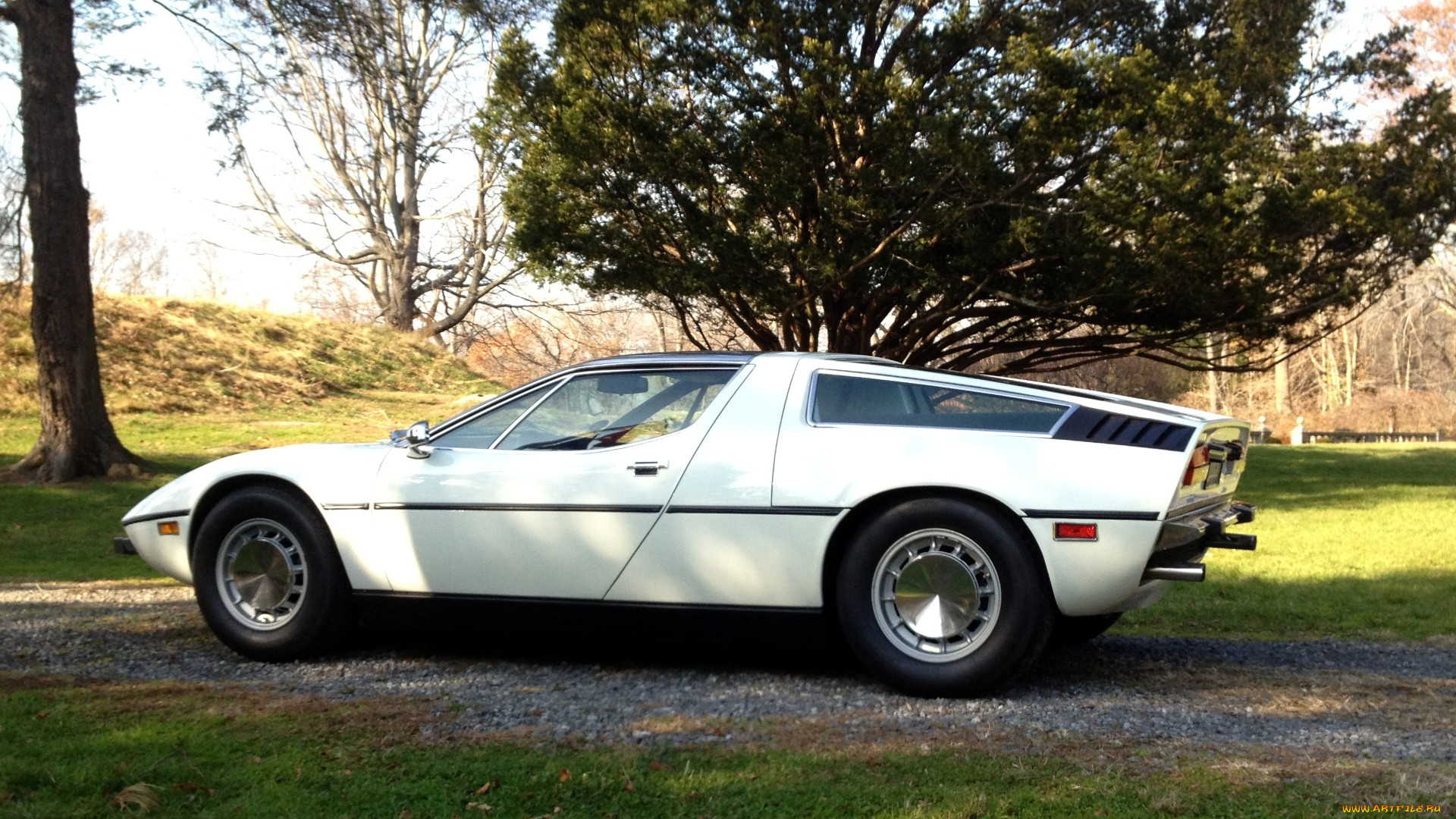 maserati, , bora, , , 